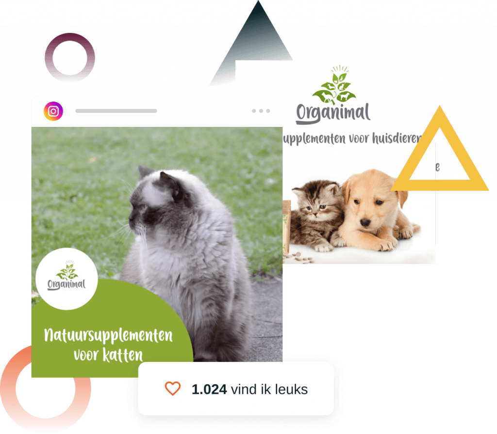 social media expert inhuren